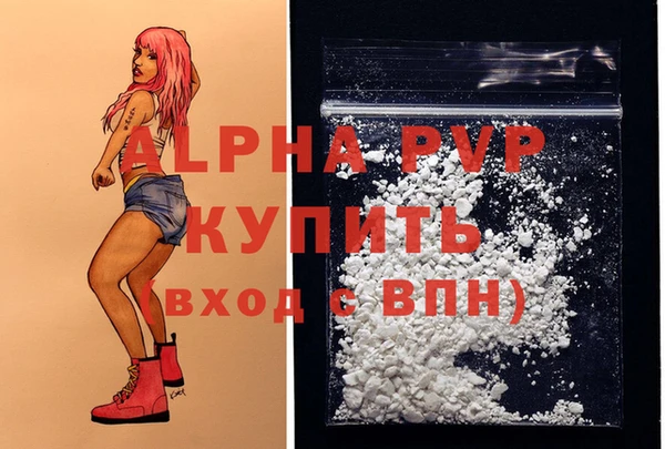 дживик Белокуриха