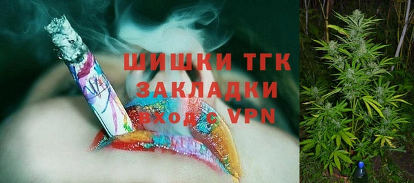 ПСИЛОЦИБИНОВЫЕ ГРИБЫ Строитель