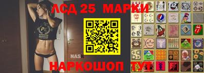 гидра Краснознаменск