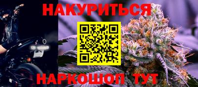 гидра Краснознаменск