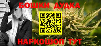 гидра Краснознаменск