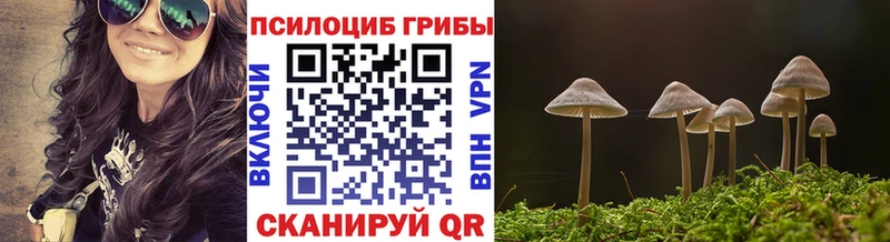 Галлюциногенные грибы ЛСД  Дальнегорск 