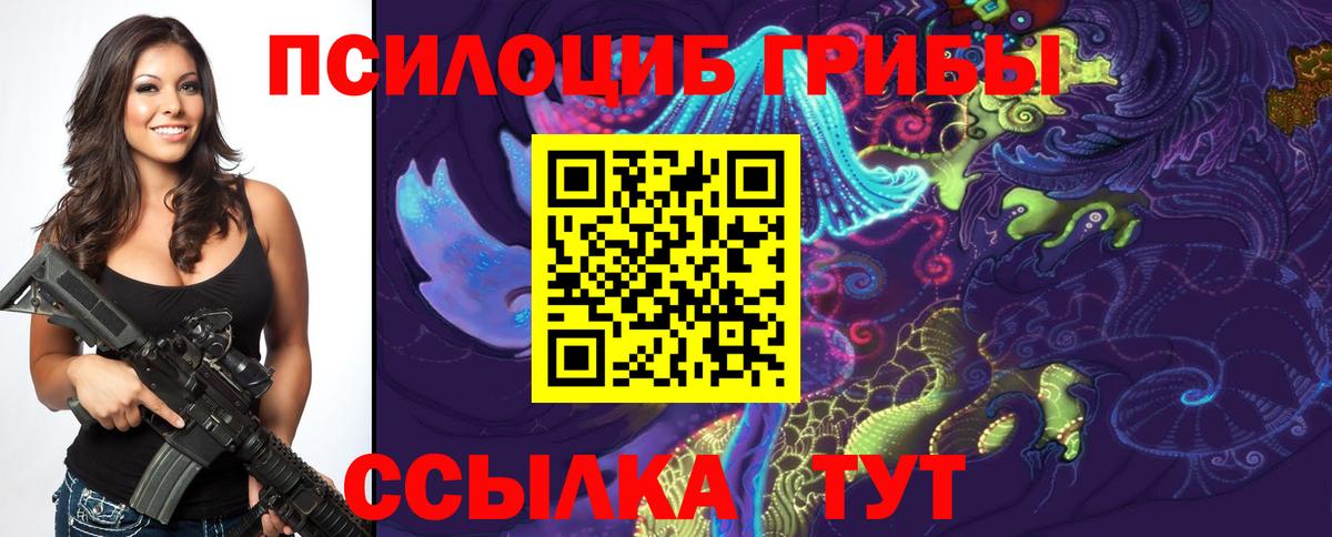Дальнегорск  Псилоцибиновые грибы прущие грибы  Вход с VPN 