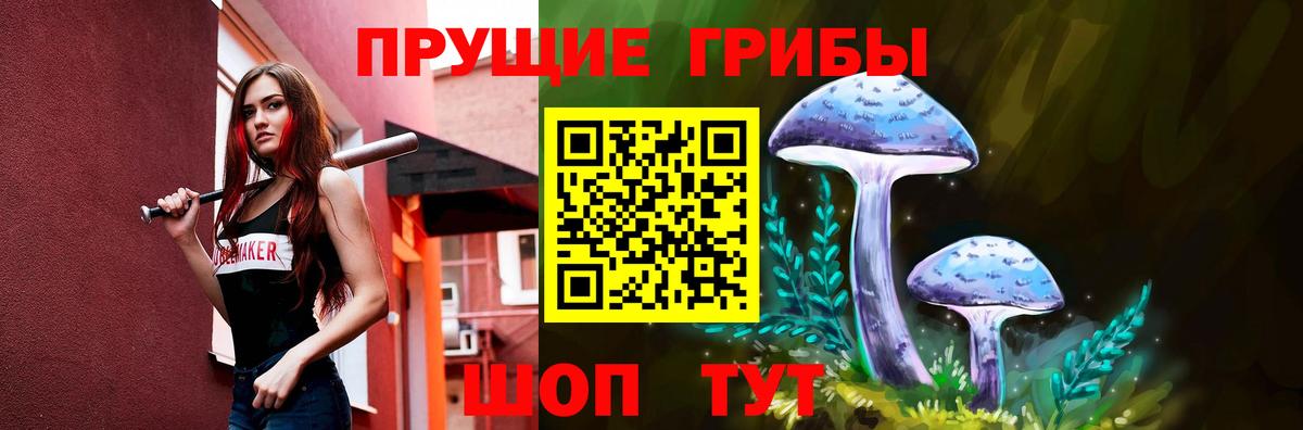 Галлюциногенные грибы Psilocybine cubensis Дальнегорск